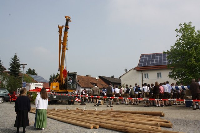 Maibaum 2013